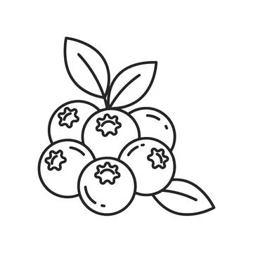 Simple black and white line of a cluster of fresh blueberries with two gree.. Stock Illustration