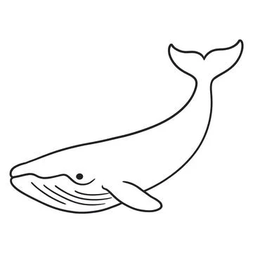 Simple black and white line of a whale swimming, isolated on a white backgr.. Stock Illustration