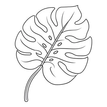 Simple black and white line of a single monstera leaf, tropical botanical w.. 스톡 일러스트