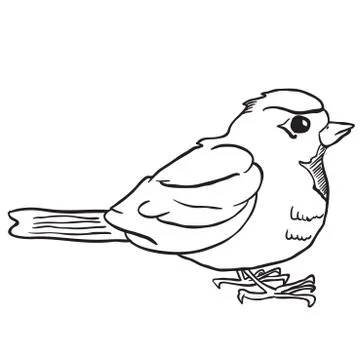 Simple black and white robin Stock Illustration