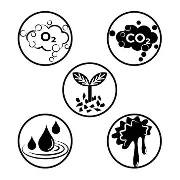 Simple black and white set with nature elements Stockillustratie