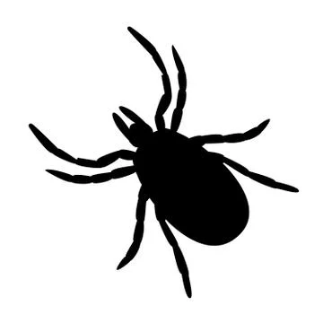 Simple black and white tick symbol or icon イラスト素材