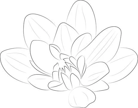 A simple black and white vector line pattern of a flower. Illustrazione stock