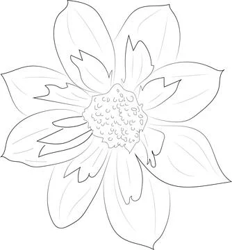 A simple black and white vector line pattern of a flower. Stock Illustration