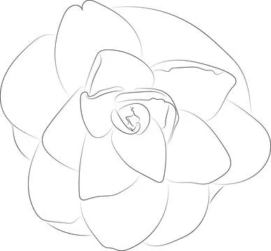 A simple black and white vector line pattern of a flower on a white backgroun Illustrazione stock