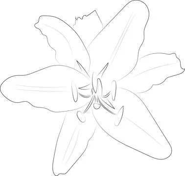 A simple black and white vector line pattern of a flower on a white backgroun Illustrazione stock