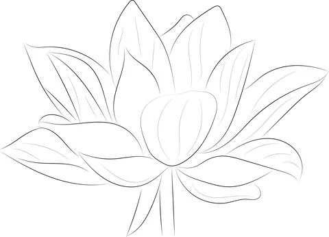 A simple black and white vector line pattern of a flower on a white backgroun 스톡 일러스트