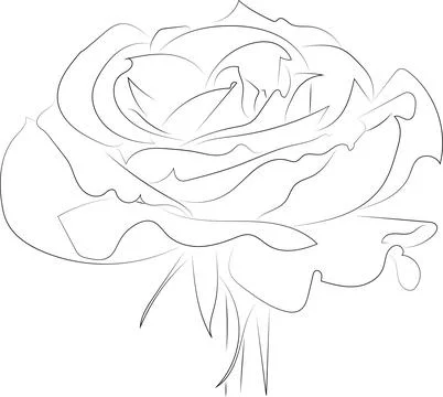 A simple black and white vector line pattern of a flower on a white backgroun Stock Illustration