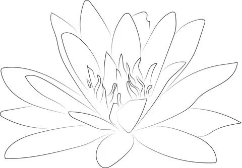 A simple black and white vector line pattern of a flower on a white backgroun Illustrazione stock