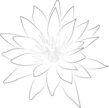 A simple black and white vector line pattern of a flower on a white backgroun Stock Illustration