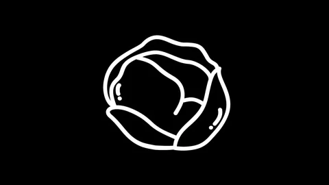 Simple black background with a minimalist white outline of a rose, emphasiz.. Stock Footage 320023424