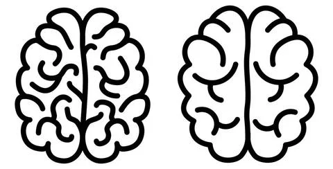 Simple black brain icon, two versions, complex and simpler Simple black br... 写真素材