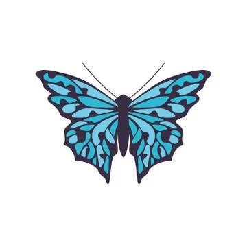 Simple black butterfly with blue pattern on wings a isolated vector illustration Stock Illustration