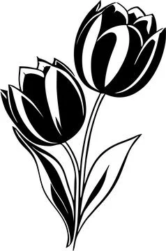 Simple black graphic drawing of a tulip flower without background, decor el.. Stock Illustration