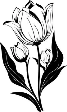 Simple black graphic drawing of a tulip flower without background, decor el.. Stock-Illustration