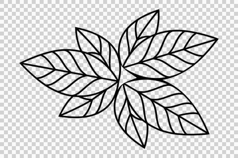 Simple black leaf outline vector icon 스톡 일러스트