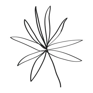Simple black outline of a leaf with multiple long leaves Stock Illustration
