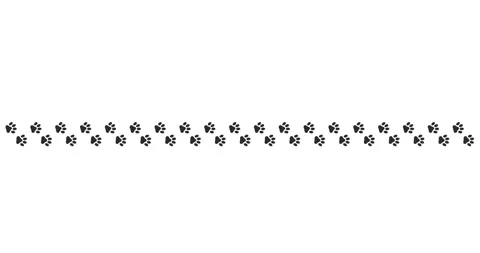 Simple black paw prints line white background Video stock 330588915