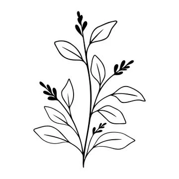 Simple black tree branch with berry and leaves. Hand drawn plant. Botanical Stock Illustration