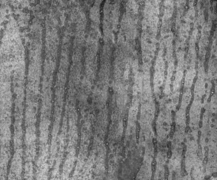 Simple black-white abstract  background with drops, smears, stripes and stains. Stock Illustration