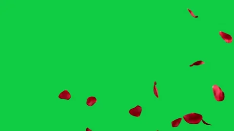 A simple blue message bubble glowing on a green screen. Stock Footage 299045499