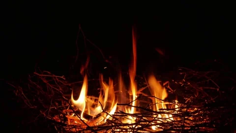 Simple bonfire at nighttime Vidéo 269072079