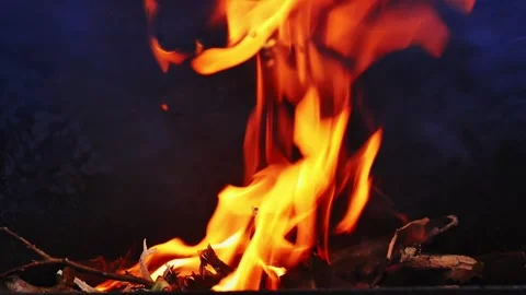 Simple bonfire at nighttime Vidéo 270775615