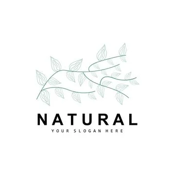 Simple Botanical Leaf and Flower Logo, Vector Natural Line Style, Decoratio.. 스톡 일러스트