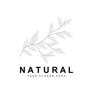 Simple Botanical Leaf and Flower Logo, Vector Natural Line Style, Decoratio.. Stock Illustration