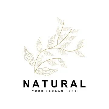 Simple Botanical Leaf and Flower Logo, Vector Natural Line Style, Decoratio.. Stock Illustration