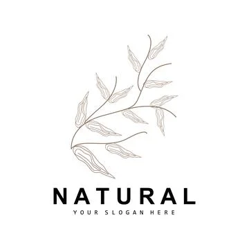 Simple Botanical Leaf and Flower Logo, Vector Natural Line Style, Decoratio.. 스톡 일러스트