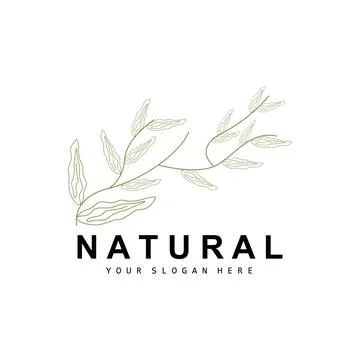 Simple Botanical Leaf and Flower Logo, Vector Natural Line Style, Decoratio.. Stock Illustration
