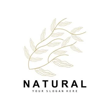 Simple Botanical Leaf and Flower Logo, Vector Natural Line Style, Decoratio.. 스톡 일러스트