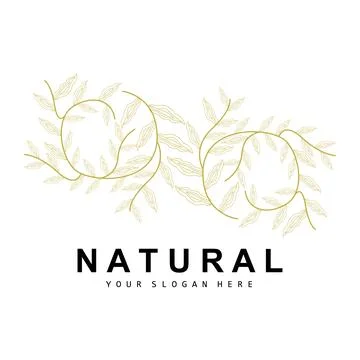 Simple Botanical Leaf and Flower Logo, Vector Natural Line Style, Decoratio.. Stock Illustration