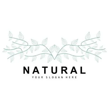 Simple Botanical Leaf and Flower Logo, Vector Natural Line Style, Decoratio.. Illustrazione stock