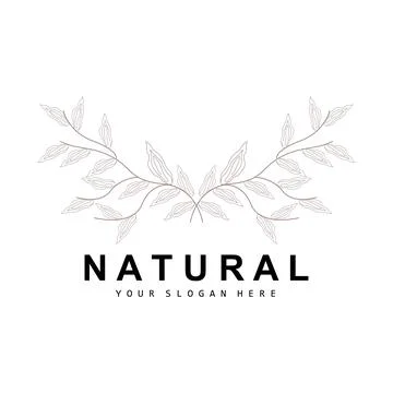 Simple Botanical Leaf and Flower Logo, Vector Natural Line Style, Decoratio.. Stock Illustration