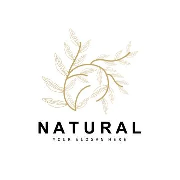 Simple Botanical Leaf and Flower Logo, Vector Natural Line Style, Decoratio.. 스톡 일러스트