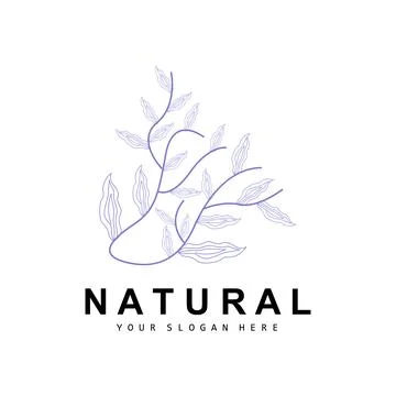 Simple Botanical Leaf and Flower Logo, Vector Natural Line Style, Decoratio.. 스톡 일러스트