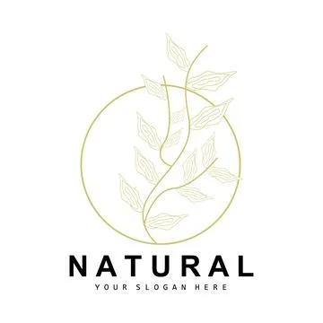 Simple Botanical Leaf and Flower Logo, Vector Natural Line Style, Decoratio.. 스톡 일러스트