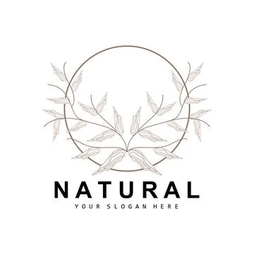 Simple Botanical Leaf and Flower Logo, Vector Natural Line Style, Decoratio.. 스톡 일러스트