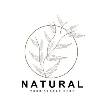 Simple Botanical Leaf and Flower Logo, Vector Natural Line Style, Decoratio.. 스톡 일러스트