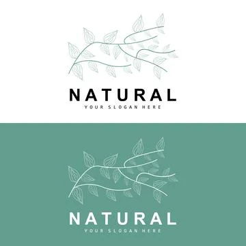 Simple Botanical Leaf and Flower Logo, Vector Natural Line Style, Decoratio.. 스톡 일러스트