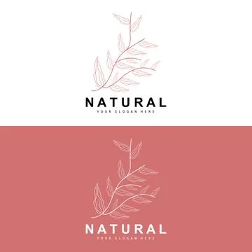 Simple Botanical Leaf and Flower Logo, Vector Natural Line Style, Decoratio.. Stock Illustration