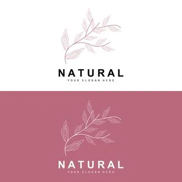 Simple Botanical Leaf and Flower Logo, Vector Natural Line Style, Decoratio.. 스톡 일러스트