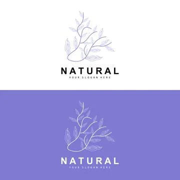 Simple Botanical Leaf and Flower Logo, Vector Natural Line Style, Decoratio.. 스톡 일러스트