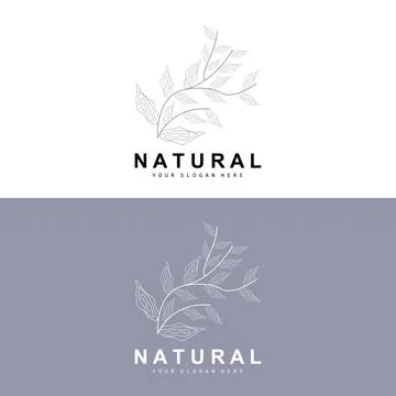 Simple Botanical Leaf and Flower Logo, Vector Natural Line Style, Decoratio.. Illustrazione stock