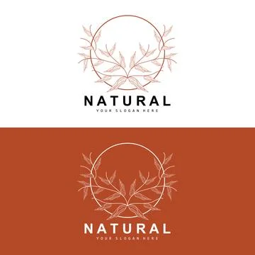 Simple Botanical Leaf and Flower Logo, Vector Natural Line Style, Decoratio.. 스톡 일러스트