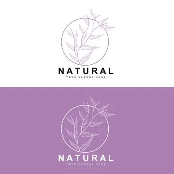 Simple Botanical Leaf and Flower Logo, Vector Natural Line Style, Decoratio.. 스톡 일러스트