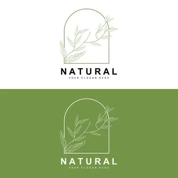 Simple Botanical Leaf and Flower Logo, Vector Natural Line Style, Decoratio.. 스톡 일러스트