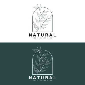 Simple Botanical Leaf and Flower Logo, Vector Natural Line Style, Decoratio.. 스톡 일러스트